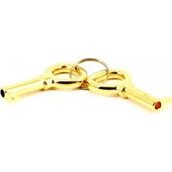 Piesă înlocuire - Adorini Standard Key - aur