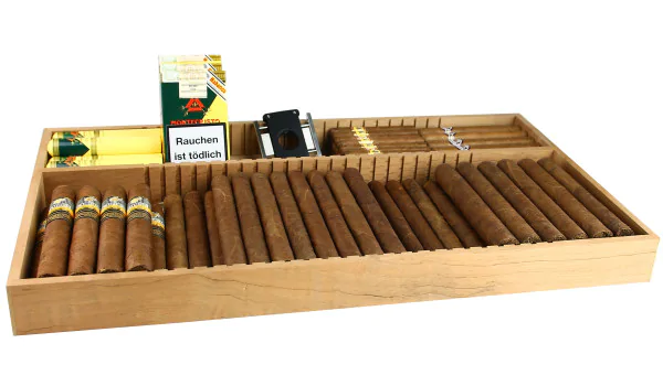 Tavă pentru dulap Humidor adorini Humidor Roma, Salina imagine 5