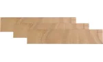 adorini Divider lung pentru Primo Deluxe Humidor, pachet de 3